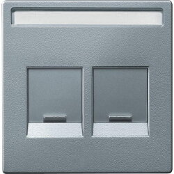 Merten Zentralplatte MEG4564-0460 2fach aluminium