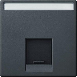 Merten Zentralplatte MEG4573-0414 1fach anthrazit System M