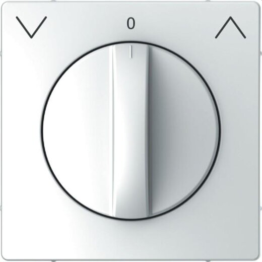 Merten Zentralplatte Lotosweiss System Design