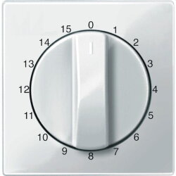 Merten Zentralplatte 567419 polarweiss glaenzend System M