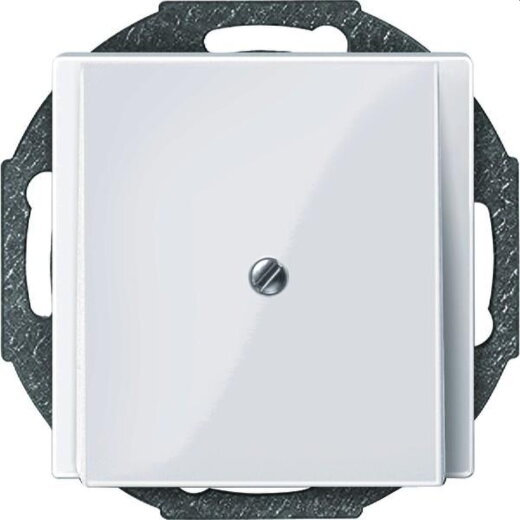 Merten Zentralplatte 296325 aktivweiss glaenzend System M