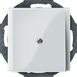 Merten Zentralplatte 296319 polarweiss glaenzend System M