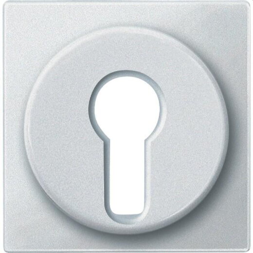 Merten Zentralplatte 318119 polarweiss SYSTEM M