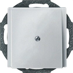 Merten Zentralplatte 295619 polarweiss SYSTEM M