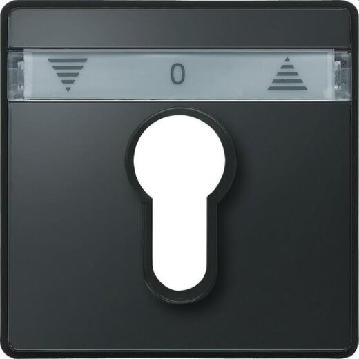 Merten Zentralplatte 348214 anthrazit AQUADESIGN