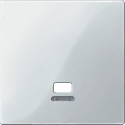 Merten Zentralplatte MEG3380-0319 polarweiss glaenzend