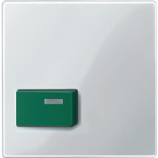 Merten Zentralplatte 451519 gruen/polarweiss glaenzend System