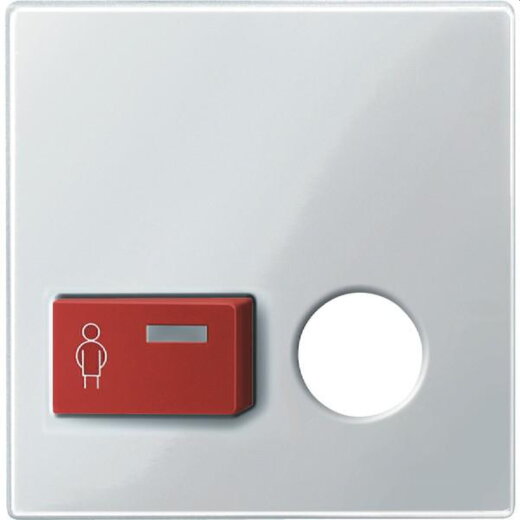 Merten Zentralplatte 450619 polarweiss glaenzend System M