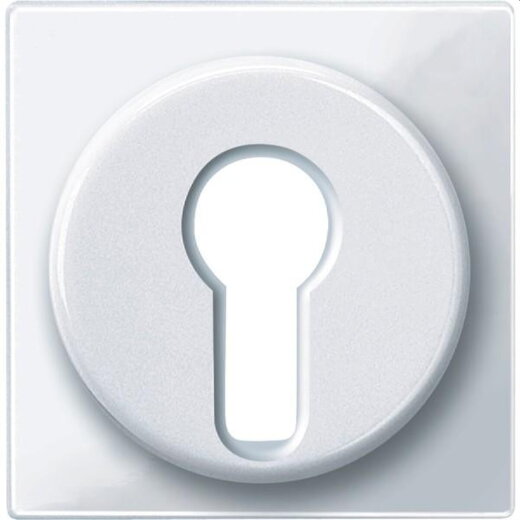 Merten Zentralplatte 319525 aktivweiss glaenzend System M