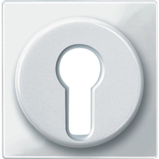 Merten Zentralplatte 319519 polarweiss glaenzend System M