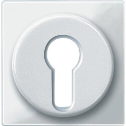 Merten Zentralplatte 319519 polarweiss glaenzend System M