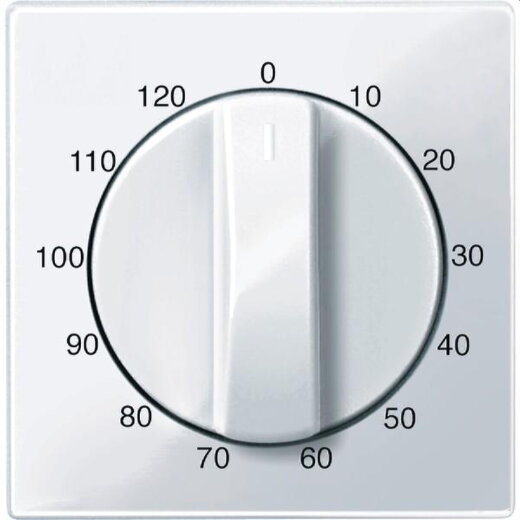 Merten Zentralplatte 567525 aktivweiss glaenzend System M
