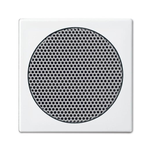 Busch-Jaeger 8253-914 Zentralscheibe