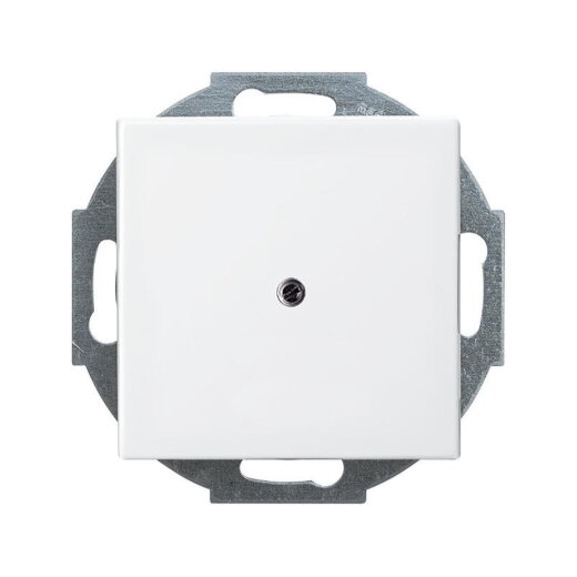 Busch-Jaeger 2527-914 Zentralscheibe