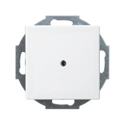 Busch-Jaeger 2527-914 Zentralscheibe