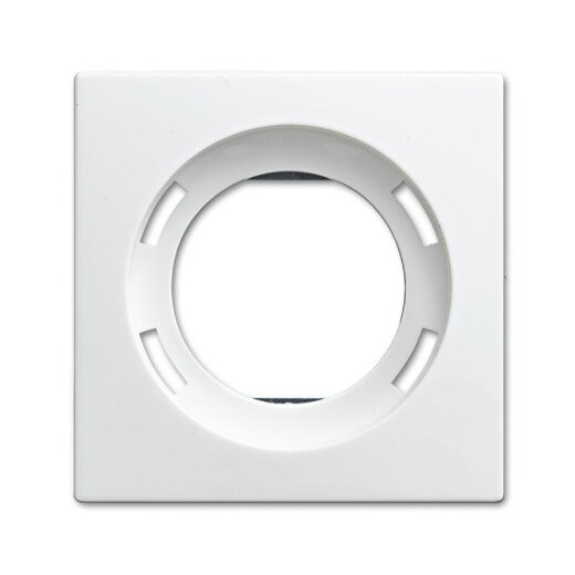 Busch-Jaeger 1756-914 Zentralscheibe