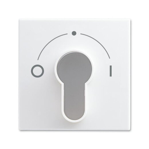 Busch-Jaeger 2557 SLPZ-914-101 Zentralscheibe