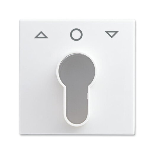 Busch-Jaeger 2557 PZ-914-101 Zentralscheibe