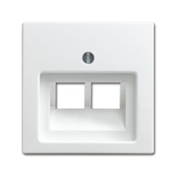 Busch-Jaeger 1803-02-914 Zentralscheibe