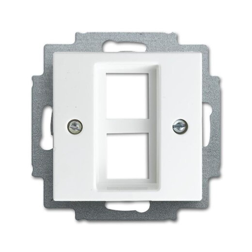 Busch-Jaeger 2561-02-914 Zentralscheibe