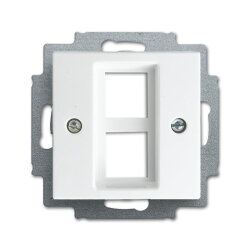 Busch-Jaeger 2561-02-914 Zentralscheibe