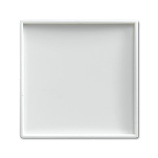 Busch-Jaeger 1790-590-914 Zentralscheibe