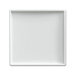 Busch-Jaeger 1790-590-914 Zentralscheibe