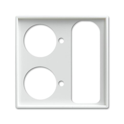 Busch-Jaeger 1790-593-914 Zentralscheibe