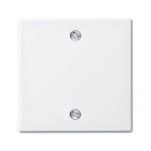 Busch-Jaeger 1796-914 Zentralscheibe