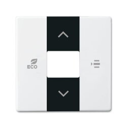 Busch-Jaeger 6236-84 Zentralscheibe