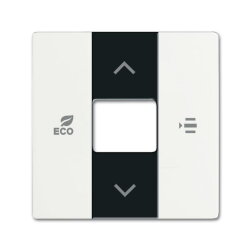 Busch-Jaeger 6236-884 Zentralscheibe