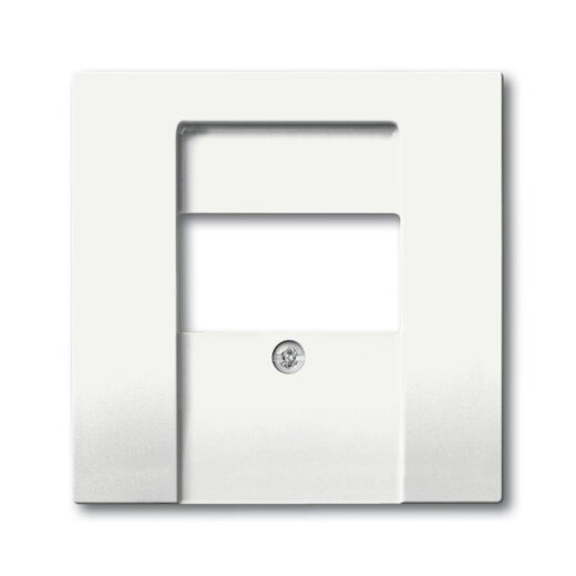 Busch-Jaeger 1766-884 Zentralscheibe