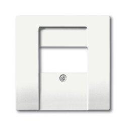 Busch-Jaeger 1766-884 Zentralscheibe