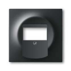 Busch-Jaeger 1766-775 Zentralscheibe