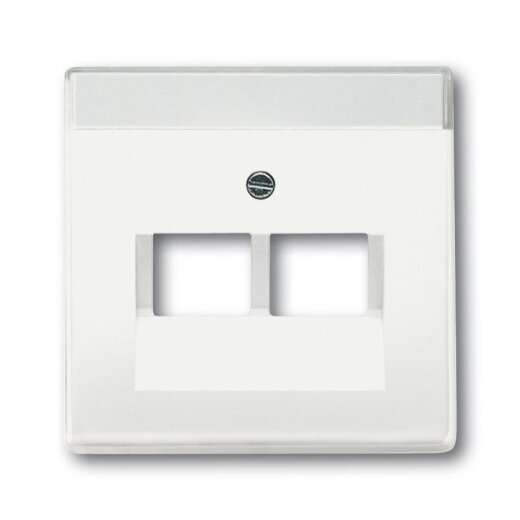 Busch-Jaeger 1803-02-884 Zentralscheibe