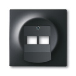 Busch-Jaeger 1803-02-775 Zentralscheibe