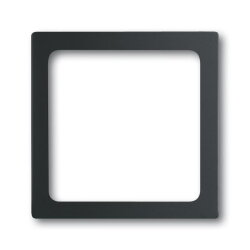 Busch-Jaeger 1716-885 Zentralscheibe