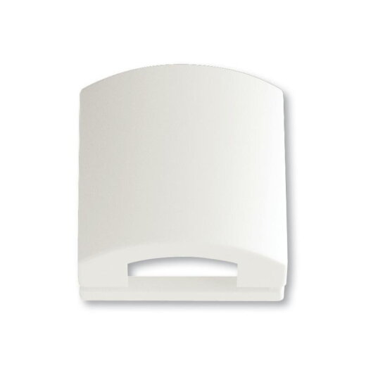 Busch-Jaeger 1746-884 Zentralscheibe