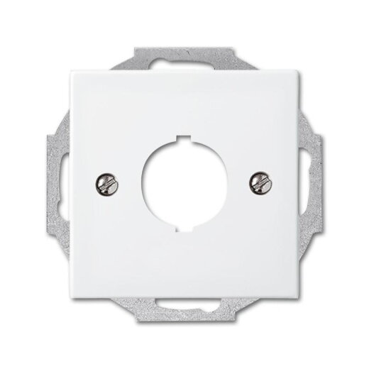 Busch-Jaeger 2534-914 19mm Zentralscheibe