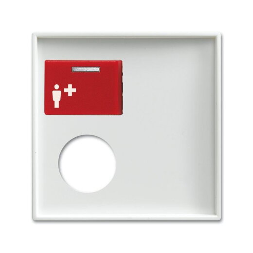 Busch-Jaeger 2548-071 E-914 Zentralscheibe