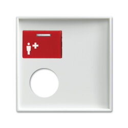 Busch-Jaeger 2548-071 E-914 Zentralscheibe