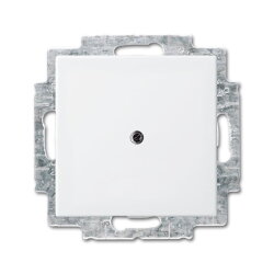 Busch-Jaeger 2538-914 Zentralscheibe