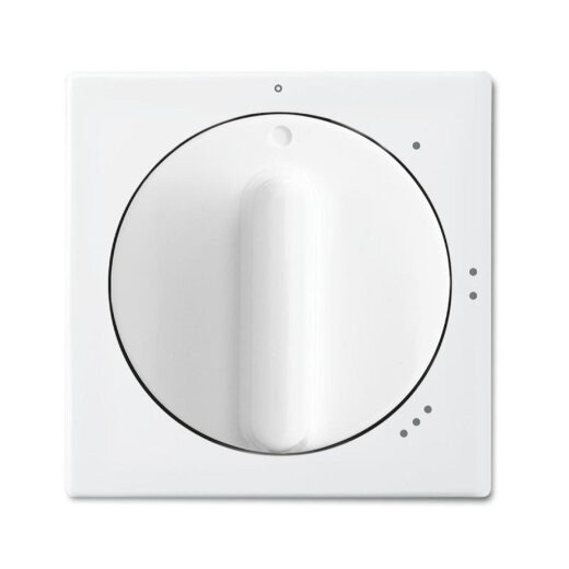 Busch-Jaeger 2542 DR/01-914 Zentralscheibe