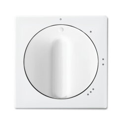 Busch-Jaeger 2542 DR/01-914 Zentralscheibe