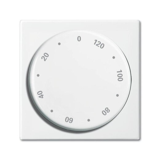 Busch-Jaeger 1771-914-102 Zentralscheibe