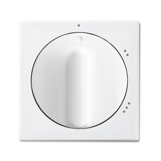 Busch-Jaeger 2542 DR/02-914 Zentralscheibe