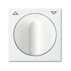 Busch-Jaeger 2542 DR-914 Zentralscheibe