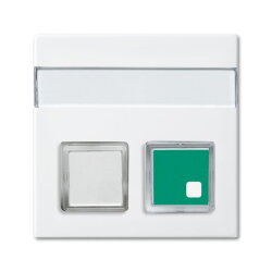 Busch-Jaeger 1572 CN-914 Zentralscheibe