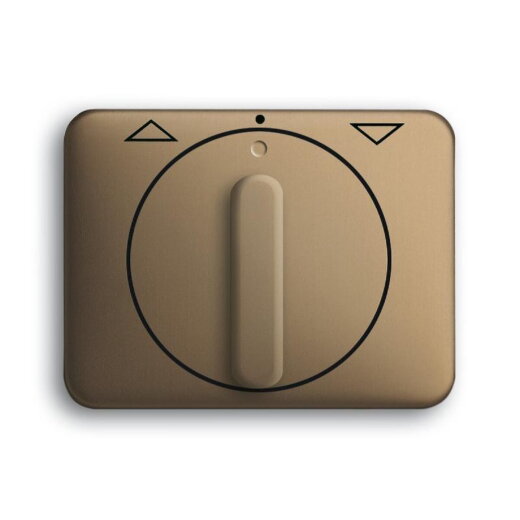 Busch-Jaeger 1740 DR-21 Zentralscheibe