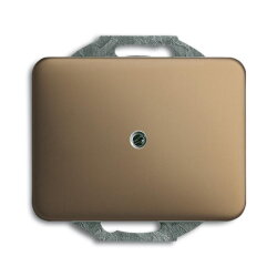 Busch-Jaeger 1749-21 Zentralscheibe